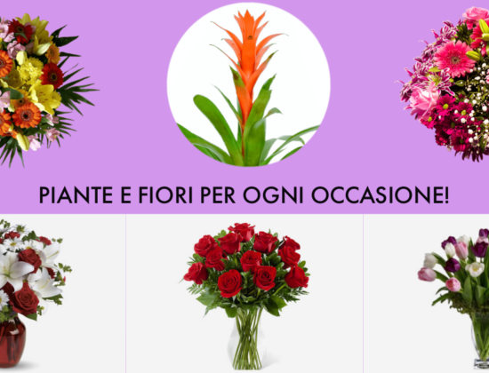 Rizzato Fiori e Agenzia Funebre