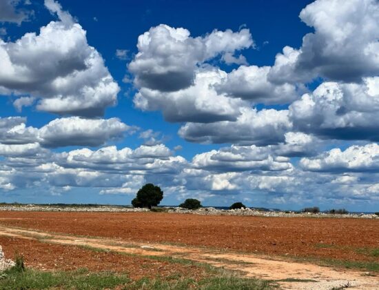 Salento Nascosto S.r.l.