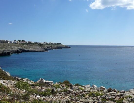 Terrasalento – Societa’ Cooperativa