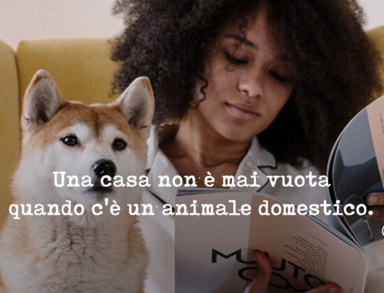 Studio San Luciano S.n.c.