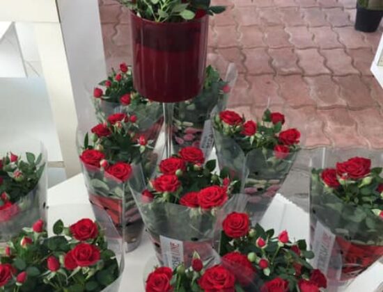 Idea Verde di Rizzo Fabio & C.S.A.S.