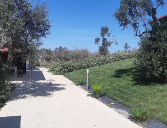 Mariam Holiday House