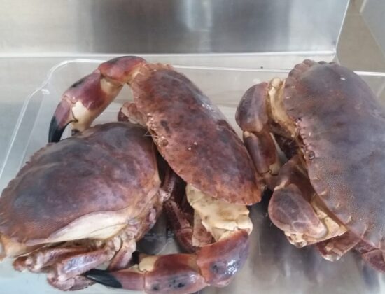 Osteria del Tempo Perso