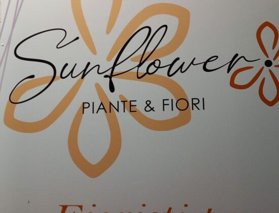 Sunflower di Indraccolo Ivana