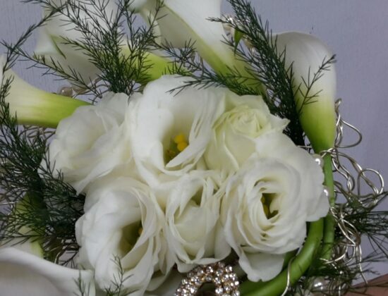 Sunflower di Indraccolo Ivana