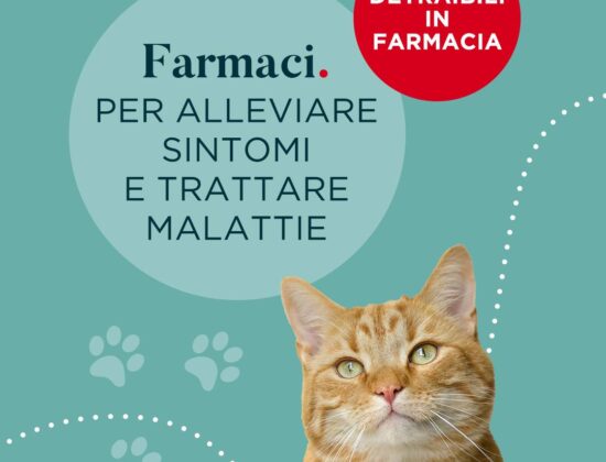 Lafarmacia. Del Duomo