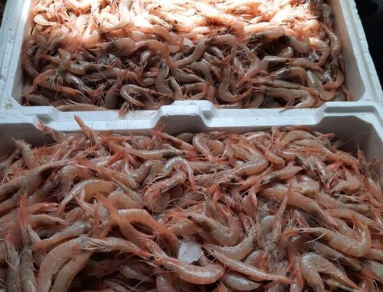 Ristorante La Capricciosa Villa De Robbio