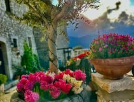 Hotel Villa Torre Antica