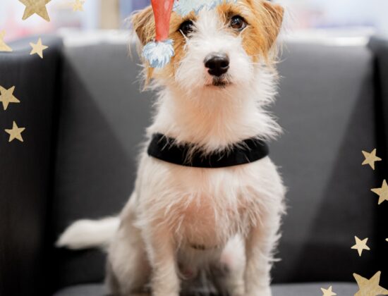 I Brunelleschi Parrucchieri