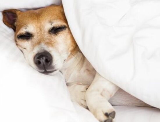 B&B HOTEL Firenze Laurus al Duomo